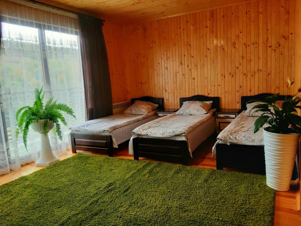 Guest House Oleksandriya Volovets Luaran gambar